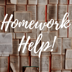 Homework help chat